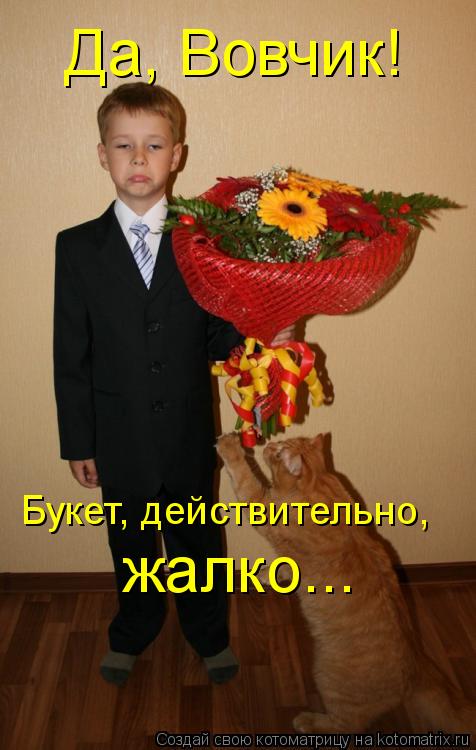 Котоматрица: Да, Вовчик! Букет, действительно, жалко...