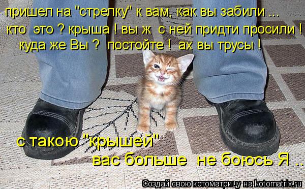 Котоматрица: пришел на "стрелку" к вам, как вы забили ...  кто  это ? крыша ! вы ж  с ней придти просили ! куда же Вы ?  постойте !  ах вы трусы ! с такою "крышей"