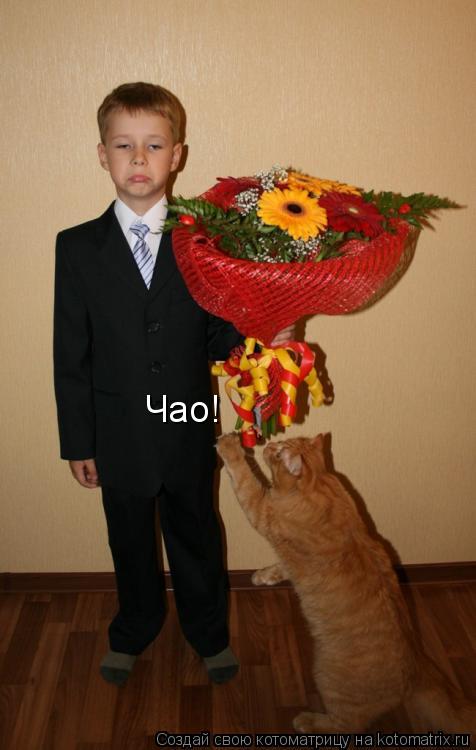 Котоматрица: Чао!