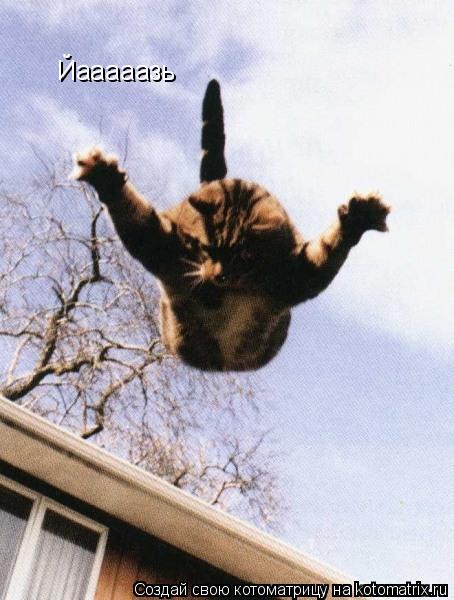 Котоматрица: Йааааазь