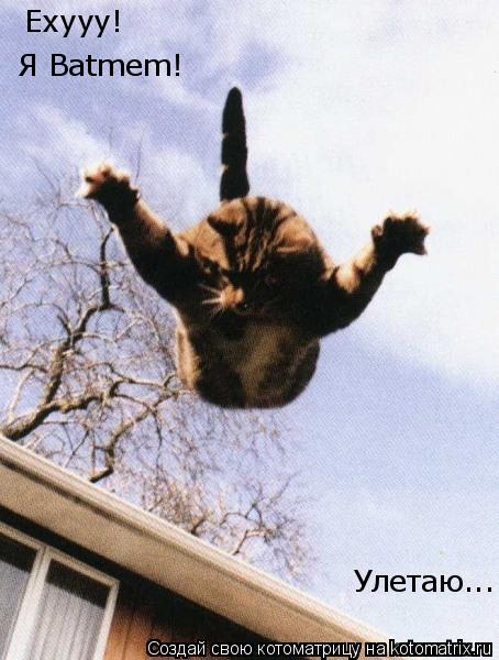 Котоматрица: Ехууу!  Я Batmem! Улетаю...