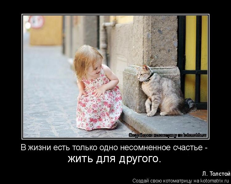 Что такое сапфировая кожа Что такое сапфировая кожа