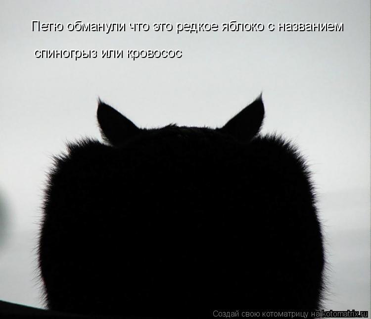 Котоматрица: Петю обманули что это редкое яблоко с названием  спиногрыз или кровосос