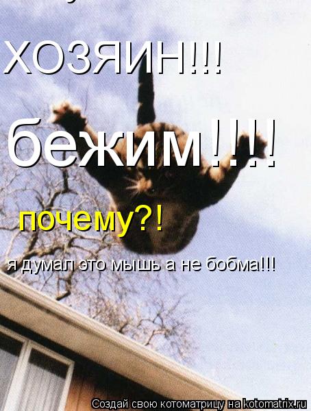 Котоматрица: ХОЗЯИН!!! я думал это мышь а не бобма я думал это мышь а не бобма!!! бежим!!!! почему?!