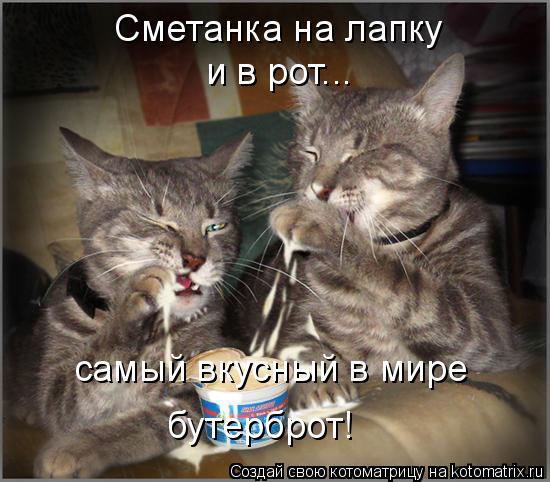 Котоматрица: Сметанка на лапку  и в рот... самый вкусный в мире  бутерброт!