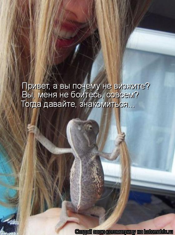 Котоматрица: Привет, а вы почему не визжите? Вы, меня не боитесь, совсем? Тогда давайте, знакомиться...