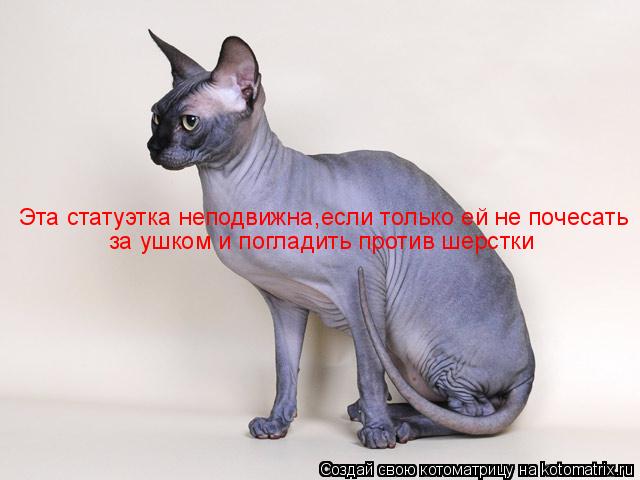 Котоматрица: Эта статуэтка неподвижна,если только ей не почесать за ушком и погладить против шерстки