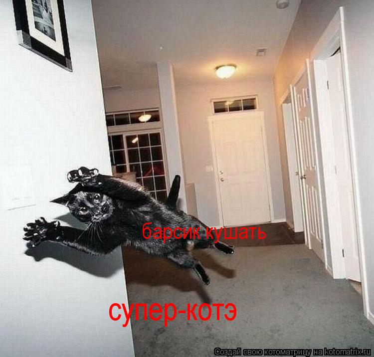 Котоматрица: барсик кушать супер-котэ