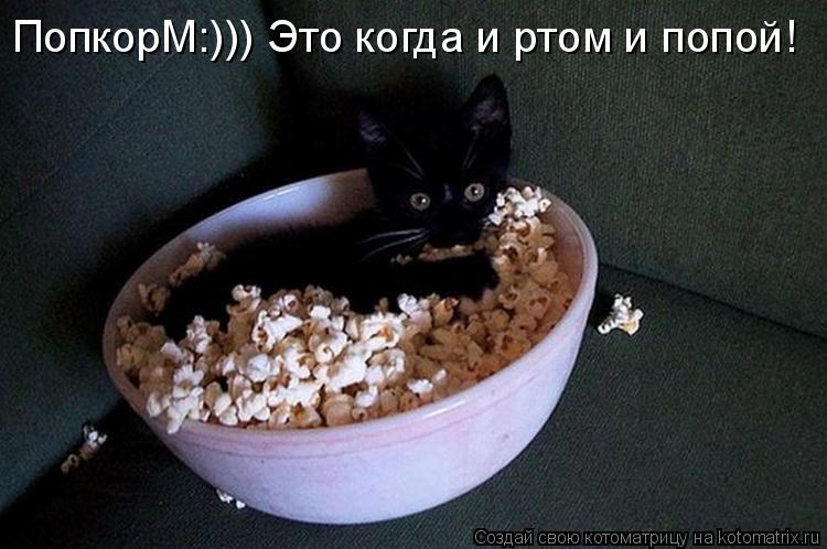 ПопкорМ:))) Это когда и ртом и попой!... Котоматрица: ПопкорМ:))) Это когда и ртом и попой!