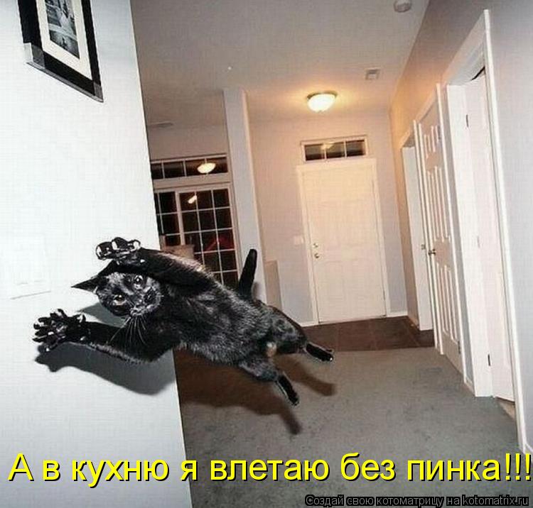 Котоматрица: А в кухню я влетаю без пинка!!!