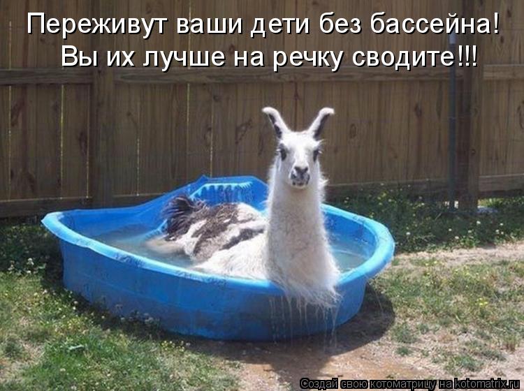 Котоматрица: Переживут ваши дети без бассейна! Вы их лучше на речку сводите!!!