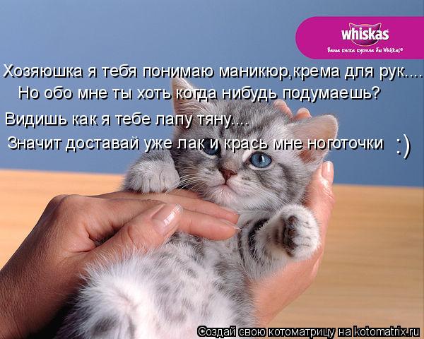 Котоматрица: Хозяюшка я тебя понимаю маникюр,крема для рук....... Но обо мне ты хоть когда нибудь подумаешь? Видишь как я тебе лапу тяну.... Значит доставай у