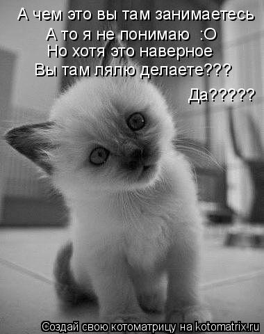 Котоматрица: А чем это вы там занимаетесь  А то я не понимаю  :О Но хотя это наверное  Вы там лялю делаете??? Да?????