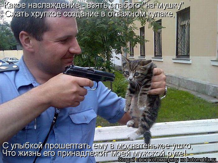 Какое наслаждение - взять слабого "на мушку", Сжать хрупкое создание в отважном кулаке, С улыбкой про... Котоматрица: Какое наслаждение - взять слабого "на мушку", Сжать хрупкое создание в отважном кулаке, С улыбкой прошептать ему в мохнатенькое ушко, Что жиз