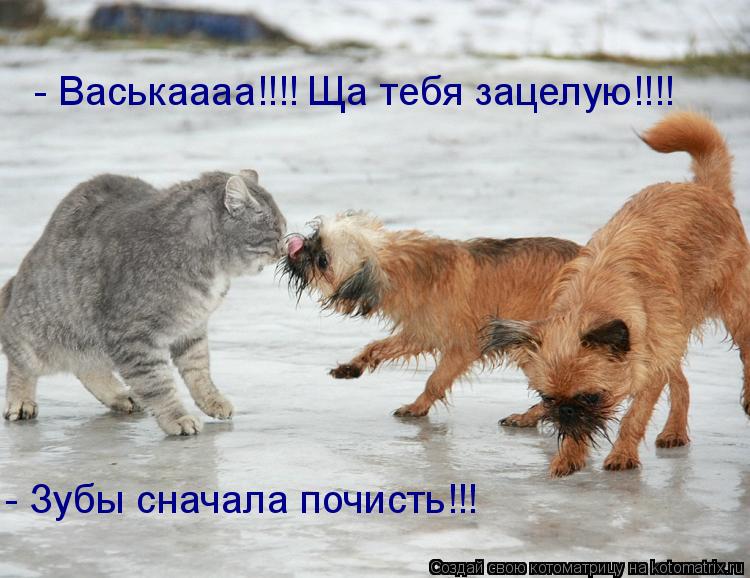- Васькаааа!!!! Ща тебя зацелую!!!! - Зубы сначала почисть!!!... Котоматрица: - Васькаааа!!!! Ща тебя зацелую!!!! - Зубы сначала почисть!!!