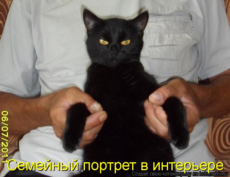 Семейный портрет в интерьере... Котоматрица: Семейный портрет в интерьере