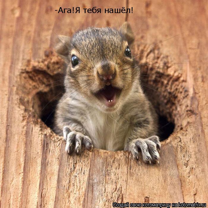 -Ага!Я тебя нашёл!... Котоматрица: -Ага!Я тебя нашёл!