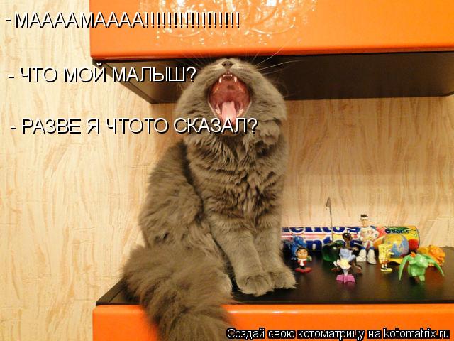 МААААМАААА!!!!!!!!!!!!!!!!! - - ЧТО МОЙ МАЛЫШ? - РАЗВЕ Я ЧТОТО СКАЗАЛ?... Котоматрица: МААААМАААА!!!!!!!!!!!!!!!!! - - ЧТО МОЙ МАЛЫШ? - РАЗВЕ Я ЧТОТО СКАЗАЛ?