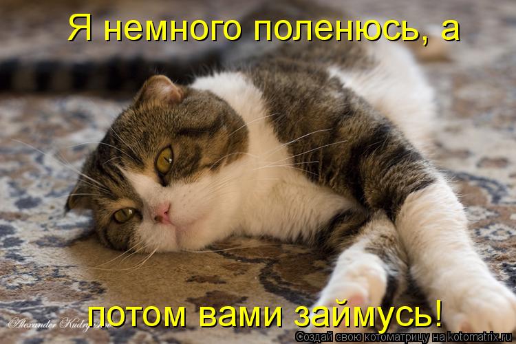 Котоматрица: Я немного поленюсь, а  потом вами займусь!