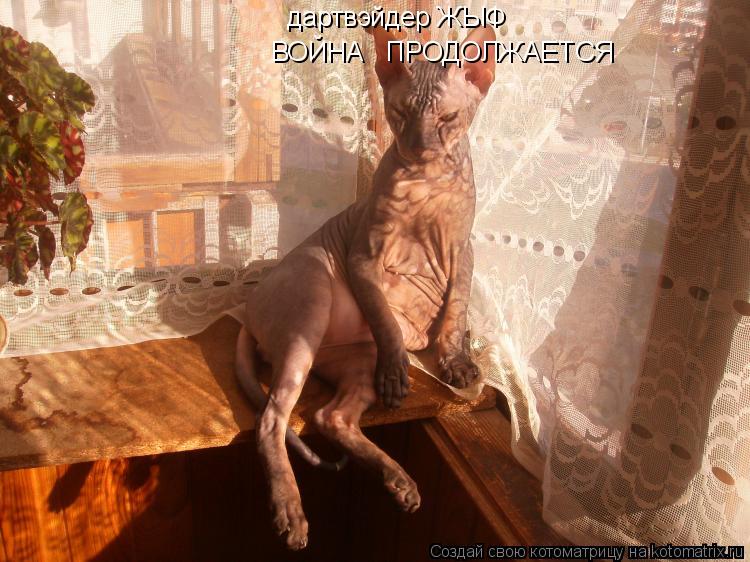 дартвэйдер ЖЫФ ВОЙНА ПРОДОЛЖАЕТСЯ... Котоматрица: дартвэйдер ЖЫФ ВОЙНА ПРОДОЛЖАЕТСЯ