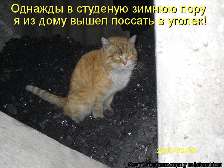 Котоматрица: Однажды в студеную зимнюю пору я из дому вышел поссать в уголек!