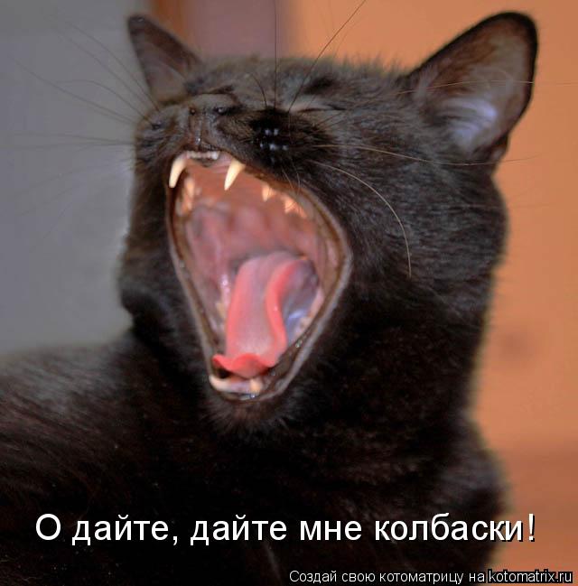 О дайте, дайте мне колбаски!... Котоматрица: О дайте, дайте мне колбаски!