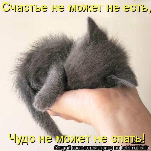 Котоматрица: Чудо не может не спать! Счастье не может не есть,