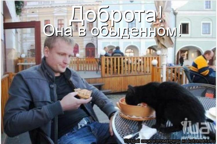 Котоматрица: Доброта! Она в обыденном!