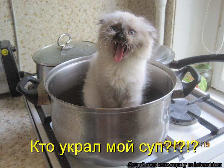 Котоматрица: Кто украл мой суп?!?!?