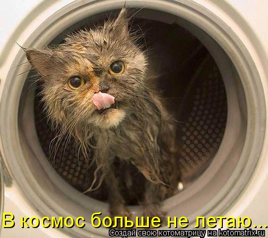 Котоматрица: В космос больше не летаю...
