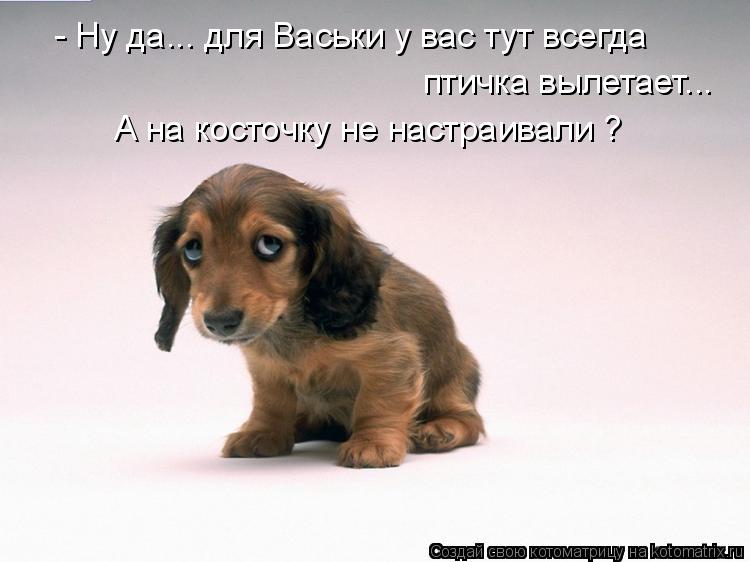 - Ну да... для Васьки у вас тут всегда птичка вылетает... А на косточку не настраивали ?... Котоматрица: - Ну да... для Васьки у вас тут всегда птичка вылетает... А на косточку не настраивали ?