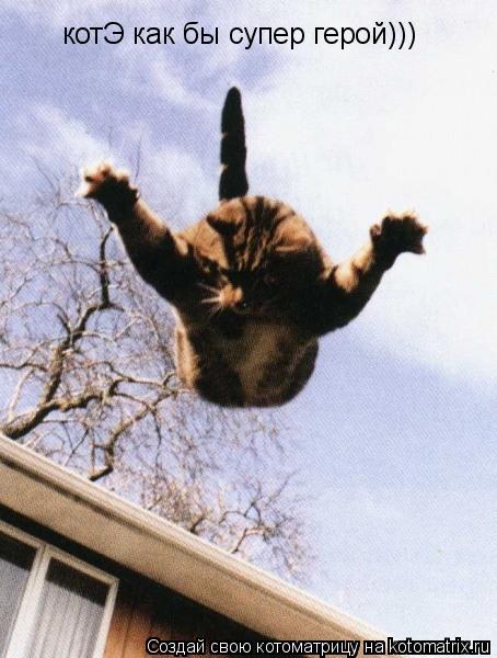 Котоматрица: котЭ как бы супер герой)))