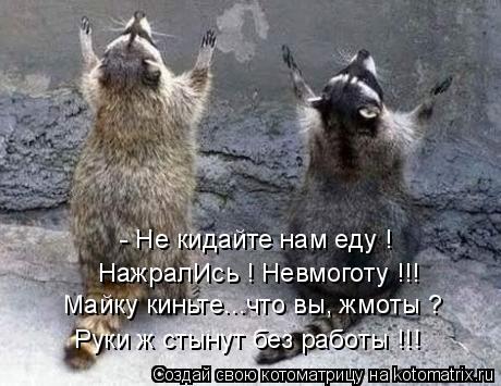Котоматрица: - Не кидайте нам еду ! НажралИсь ! Невмоготу !!!  Майку киньте...что вы, жмоты ? Руки ж стынут без работы !!!