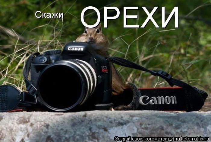 Котоматрица: Скажи   ОРЕХИ