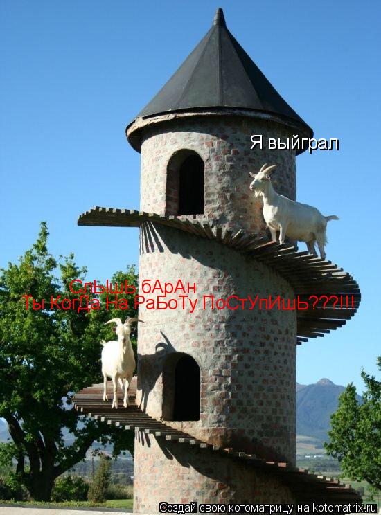 Котоматрица: Я выйграл СлЫшЬ бАрАн  Ты КогДа На РаБоТу ПоСтУпИшЬ???!!!
