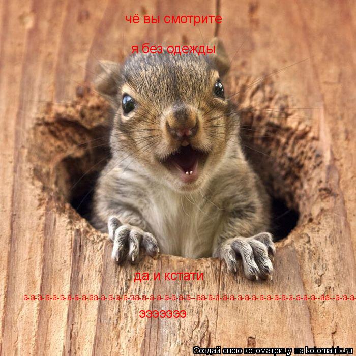 Котоматрица: чё вы смотрите я без одежды да и кстати а-а-а-а-а-а-а-а-а-аа-а-а-а-а-аа-а-а-а-а-а-а-а--аа-а-а-а-а-а-а-а-а-а-а-а-а-а-а-а--аа--а-а-а-а- эээээээ