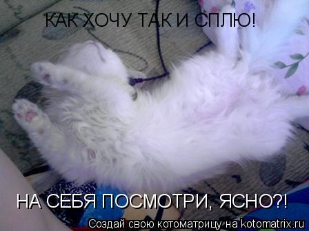 Котоматрица: КАК ХОЧУ ТАК И СПЛЮ!  НА СЕБЯ ПОСМОТРИ, ЯСНО?!