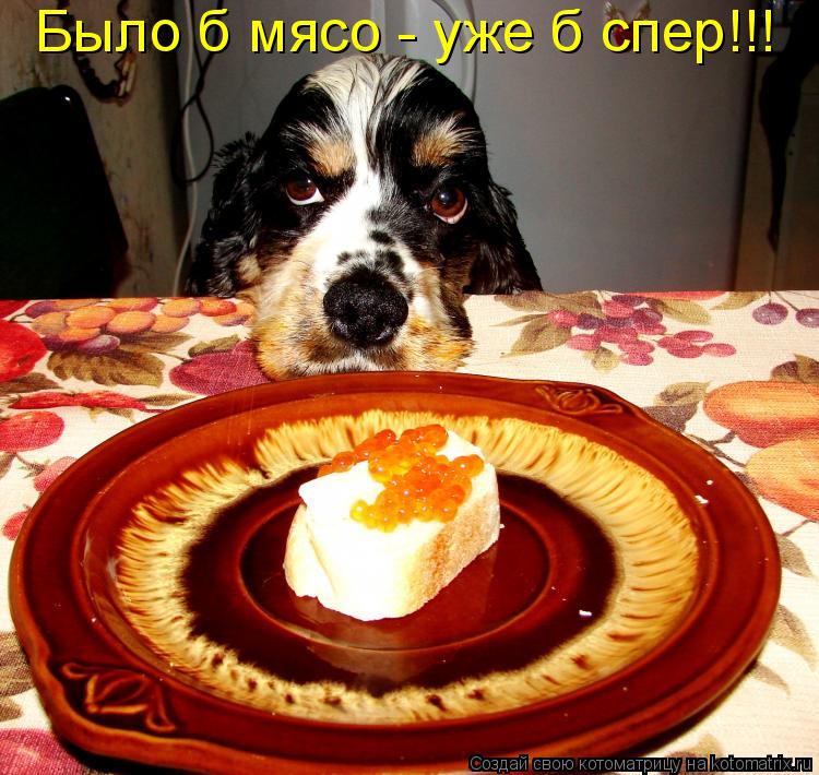 Котоматрица: Было б мясо - уже б спер!!!