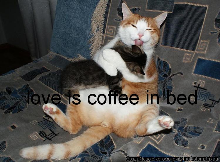 Котоматрица: love is coffee in bed