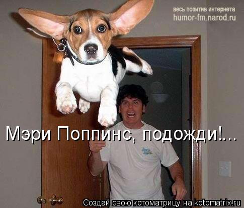 Котоматрица: Мэри Поппинс, подожди!...