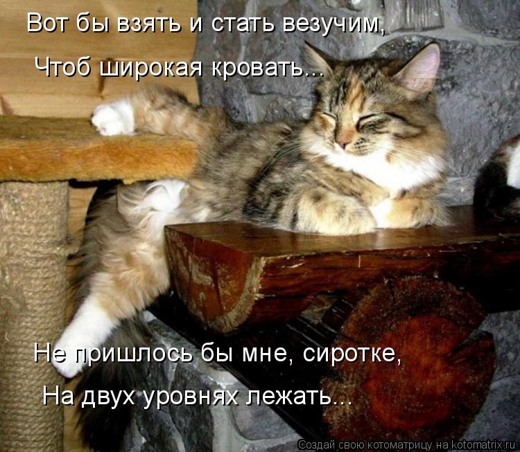 Вот бы взять и стать везучим, Чтоб широкая кровать... Не пришлось бы мне, сиротке, На двух уровнях ле... Котоматрица: Вот бы взять и стать везучим, Чтоб широкая кровать... Не пришлось бы мне, сиротке, На двух уровнях лежать...