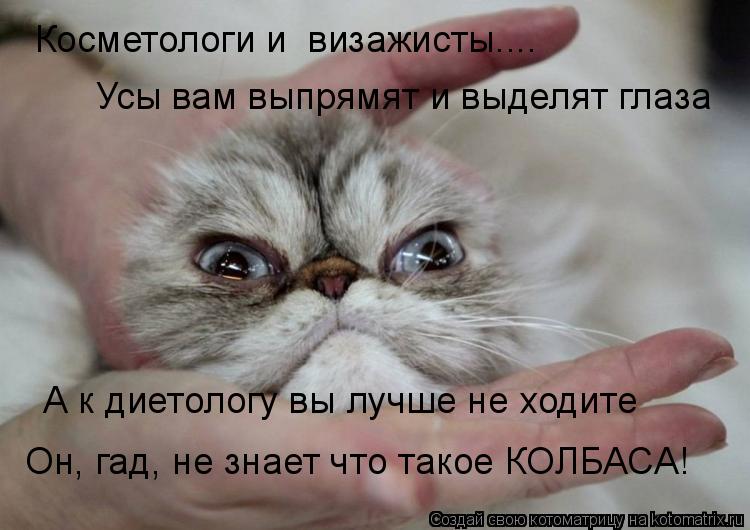Котоматрица: Усы вам выпрямят и выделят глаза Косметологи и  визажисты.... А к диетологу вы лучше не ходите Он, гад, не знает что такое КОЛБАСА!
