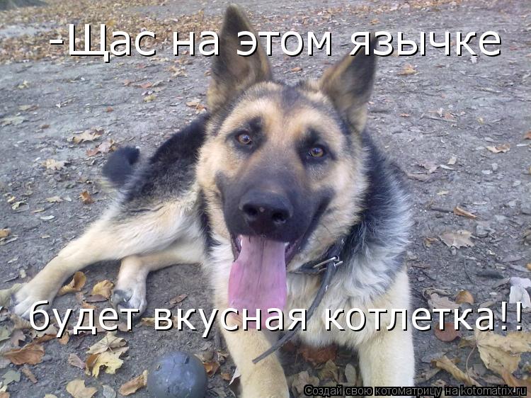 Котоматрица: -Щас на этом язычке  будет вкусная котлетка!!!
