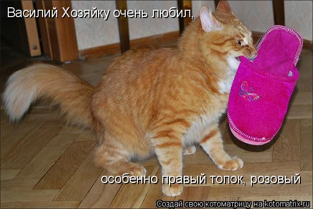 Котоматрица: Василий Хозяйку очень любил, особенно правый топок, розовый