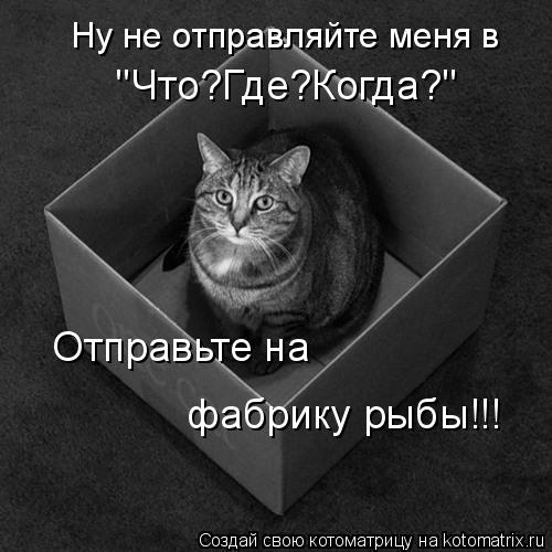 Котоматрица: Ну не отправляйте меня в  "Что?Где?Когда?" Отправьте на  фабрику рыбы!!!