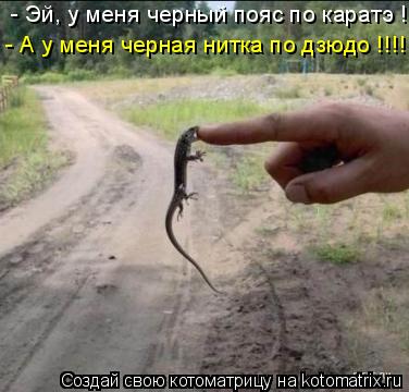 Котоматрица: - Эй, у меня черный пояс по каратэ ! - А у меня черная нитка по дзюдо !!!!!