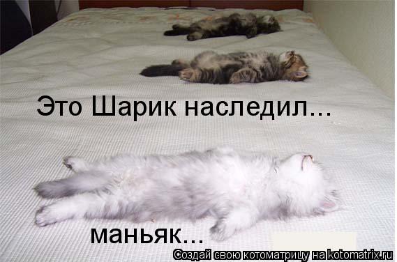 Котоматрица: Это Шарик наследил... маньяк...