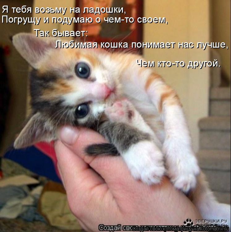 Котоматрица: Я тебя возьму на ладошки, Погрущу и подумаю о чем-то своем, Так бывает:  Любимая кошка понимает нас лучше, Чем кто-то другой.