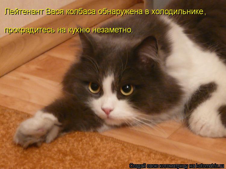 Котоматрица: Лейтенант Вася колбаса обнаружена в холодильнике прокрадитесь на кухню незаметно , .