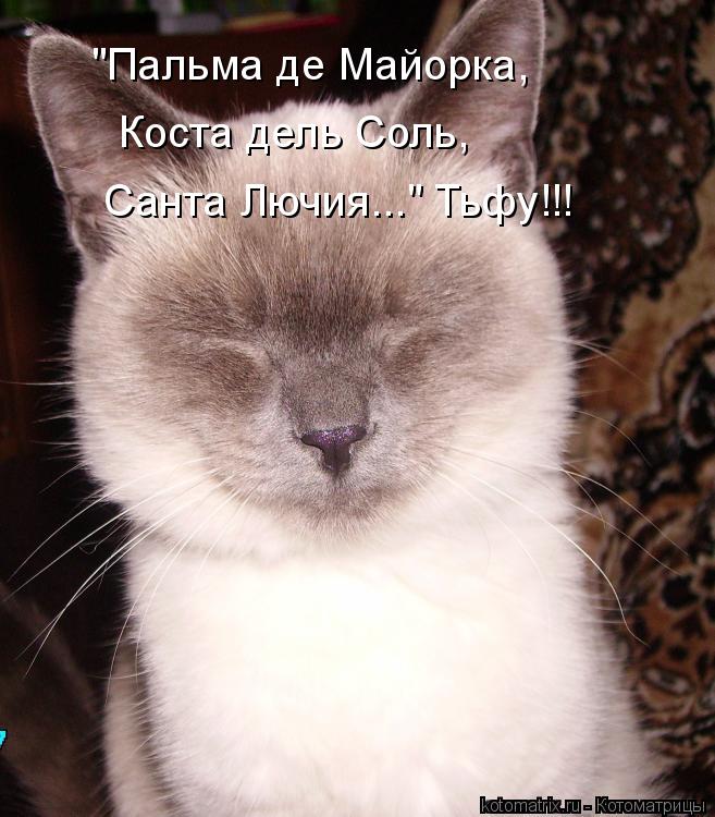 "Пальма де Майорка, Коста дель Соль, Санта Лючия..." Тьфу!!!... Котоматрица: "Пальма де Майорка, Коста дель Соль, Санта Лючия..." Тьфу!!!